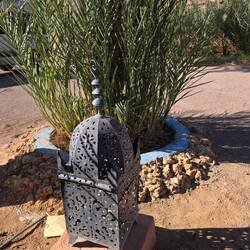 Eines der Nachtlichter...