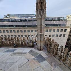 On the Cathedral roof