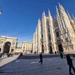 In the Piazza