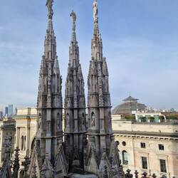On the Catherdral roof