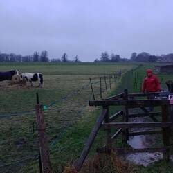 Public footpath, Soberton, at dusk