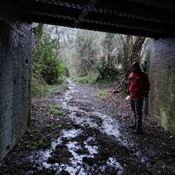Track leading to the Meon Valley Trail