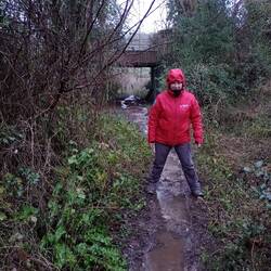 A damp Rocky Road Trail, Soberton