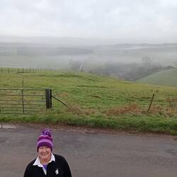 Foggy morning, near Soberton