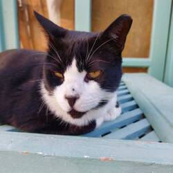 Die mit dem schrägsten Gschau 🙈