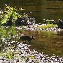 And others were thirsty