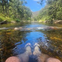 One of many cool off sessions