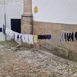 Hier war ein Ästhet an der Leine😂