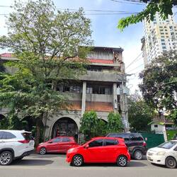 Es gibt auch verhältnismäßig viele Bäume in Cebu.