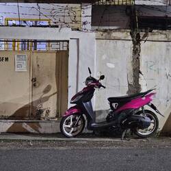 Und das wohl am meisten ignorierte Schild - Parkverbot.