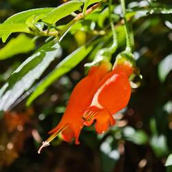 Die Botellita hatten wir gestern auch schon entdeckt.