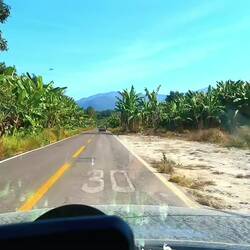 So viel grün und üppig