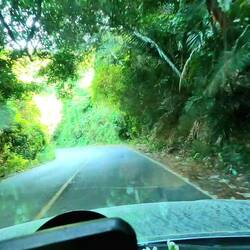 Fahrt durch den Dschungel