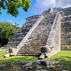 Weitere Schlangen ...