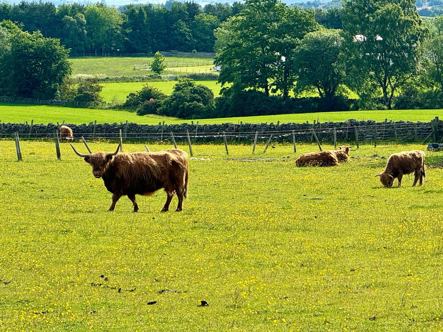 Scenes from the train ride.
