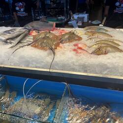 You can choose your favorite fish, and the vendor will grill it for you.