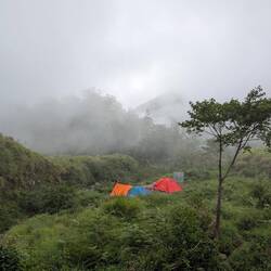 Alone in the wilderness ⛺