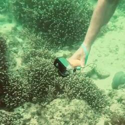 Videoing the videoer