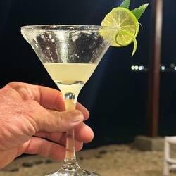 Cat garnish - we'd been petting a local cat, so barman did this!