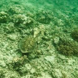 He was quite relaxed until something spooked him. Then he left FAST!