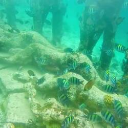 I like this better than his one off Townsville. More pleasing to the eye & being compact has impact