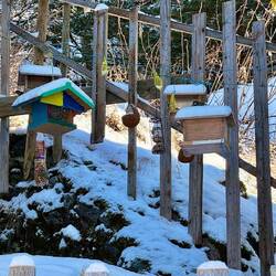 Hier scheint jemand ein grosser Vogelfreund zu sein.