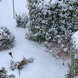 Blick vom Küchenfenster