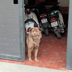 Dem Kochtopf entkommen 🫠