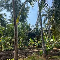 Ben Tre = vraiment la campagne