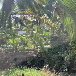 Pour vous montrer qu'on est dans un endroit vraiment reculé