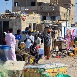 Bristeling life and colours