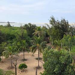 View from a observation tower at the "Zebra bar" near Saint Louis