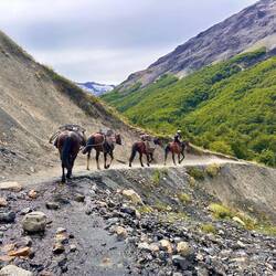 Wie in Nepal... Transport der Lebensmittel fürs Restaurant per Pferd