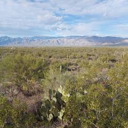 Das ist die Richtung auf dem Schild.
