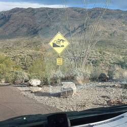 Den Amis muß man alles erklären.