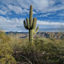 So sieht ein Gesunder aus.