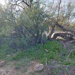 Da hat er Unterschlupf gesucht.