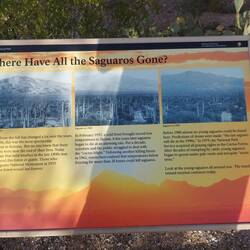 Es werden weniger weil es Nächte mit langem Frost gab, das können Sie nicht ab.