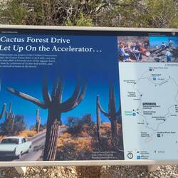 Rundtrip Saguaro NP.