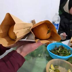 Vietnamese Sandwich (Bánh mì)