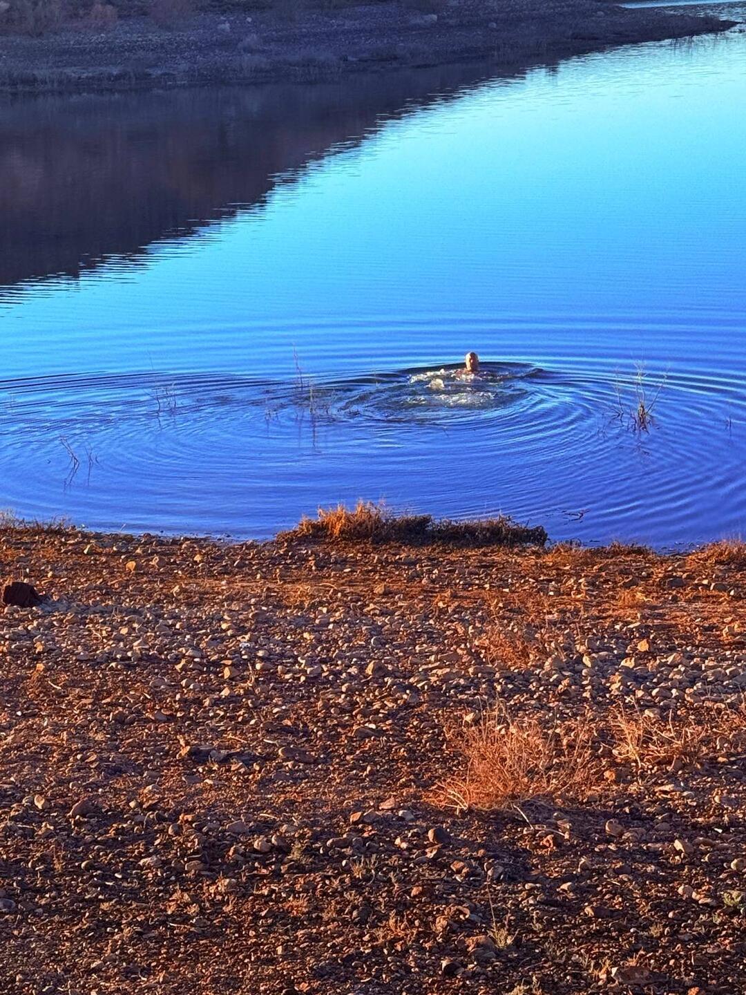 Da bist du sofort wach🤪