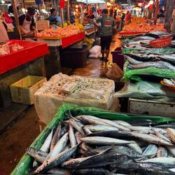 Chow Kit wet market. One of the biggest wet markets in Malaysia.