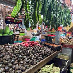Familiar chillies, limes, tomatoes, and garlic held space with more exotic produce.