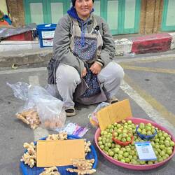 Ingwer-Verkäuferin auf dem Markt in Chiang Mai