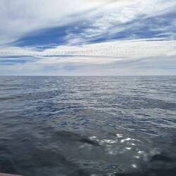 Auf dem Weg zu den Falkland Inseln