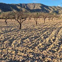 Mehr Steine als auf dem Bahndamm.