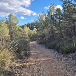 Wanderweg , ein wenig windgeschütz.