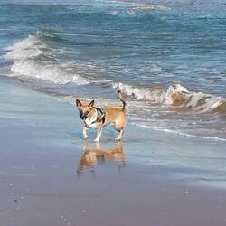 Selbst Fanny war im Wasser, aber gaaanz schön salzig