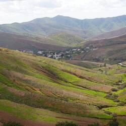 Wunderschön grün gerade