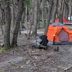 Vogelbesuch an unserem Zelt